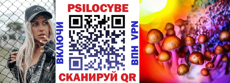 Галлюциногенные грибы Cubensis  как найти наркотики  Приволжский 